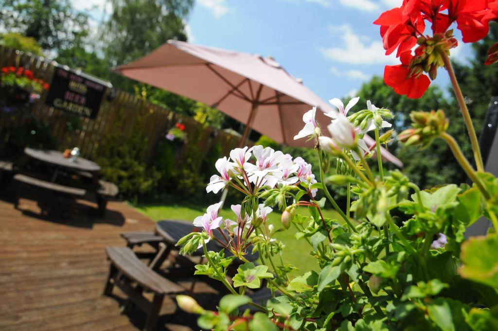 The New Court Inn Usk Exteriér fotografie